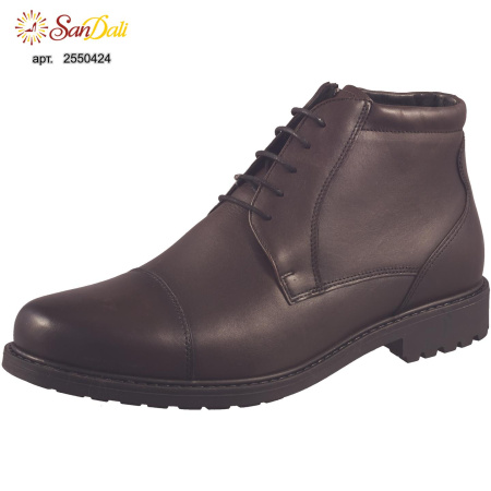 Ботинки мужские зимние RIVERI