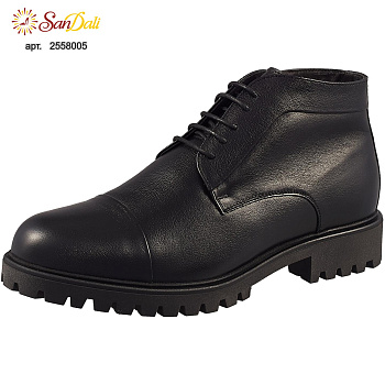 Ботинки мужские зимние RALF