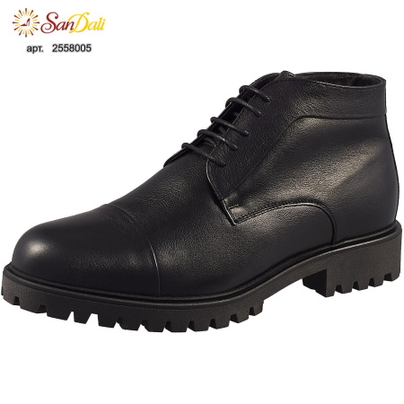 Ботинки мужские зимние RALF