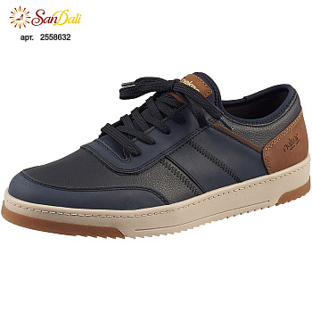 Туфли мужские осенние RIEKER