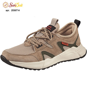 Кроссовки мужские STROBBS