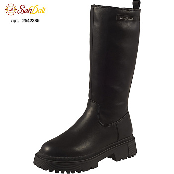 Сапоги детские на шерсти BETSY