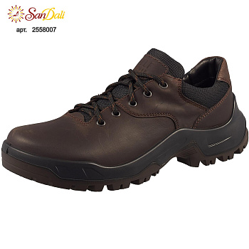 Кроссовки мужские RALF